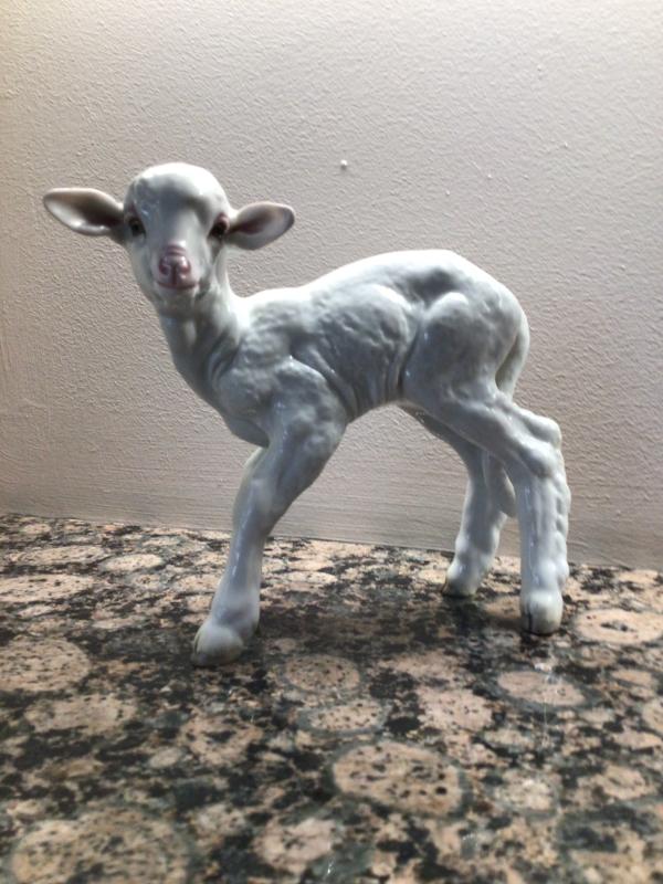 SS ALLACH PAINTED STANDING LAMB.
